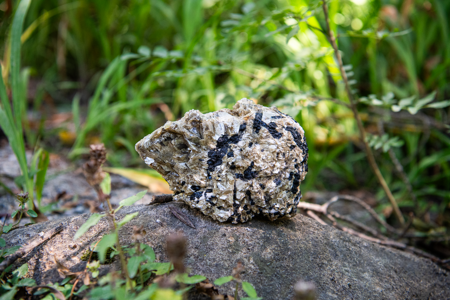 Black Tourmaline and Mica Specimen